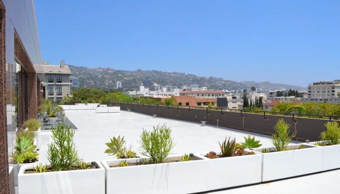 Office Space for Rent at 9242 Beverly Blvd Beverly Hills, CA 90210 - #8