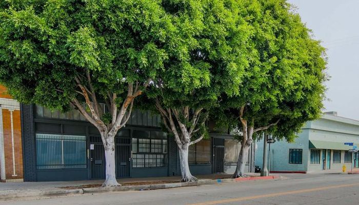 Office Space for Rent at 1320-1324 Pacific Ave Venice, CA 90291 - #6